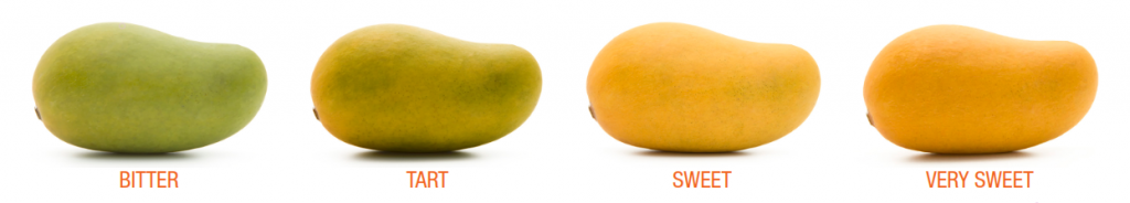 namma theni mangoes